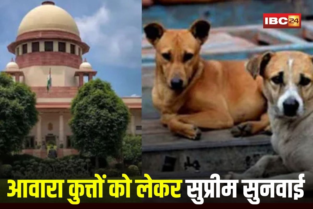 Stray Dogs: आवारा कुत्तों को लेकर सुप्रीम सुनवाई, कोर्ट ने फैसला रखा सुरक्षित, दिल्ली मेयर बोले- हम कोर्ट के आदेश का करेंगे पालन