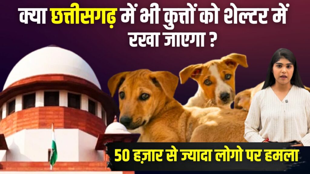 Supreme Court on Dogs
