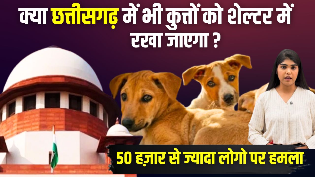 50 हज़ार से ज्यादा लोगो पर हमला, क्या Chhattisgarh में भी कुत्तों को शेल्टर में रखा जाएगा? Supreme Court on Dogs