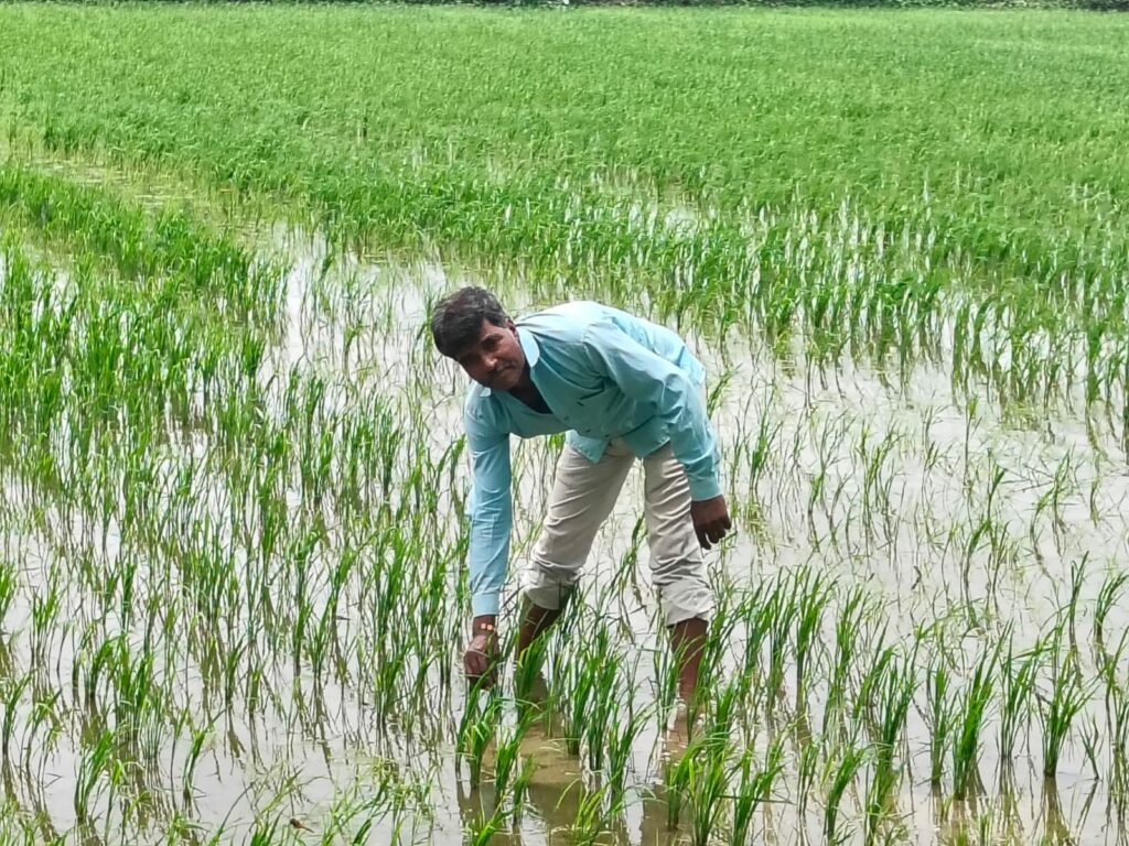 Image Credit; Reliance Foundation