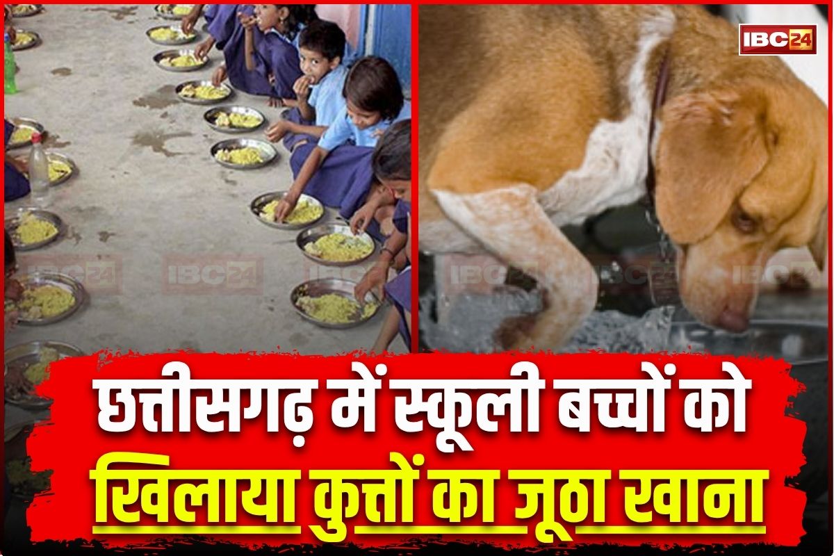 Balodabazar News: ये तो हाल है छत्तीसगढ़ के सरकारी स्कूलों का.. छात्रों को खिलाया कुत्ते का जूठा खाना, रेबीज के डर से इतने बच्चों को लगवाया इंजेक्शन