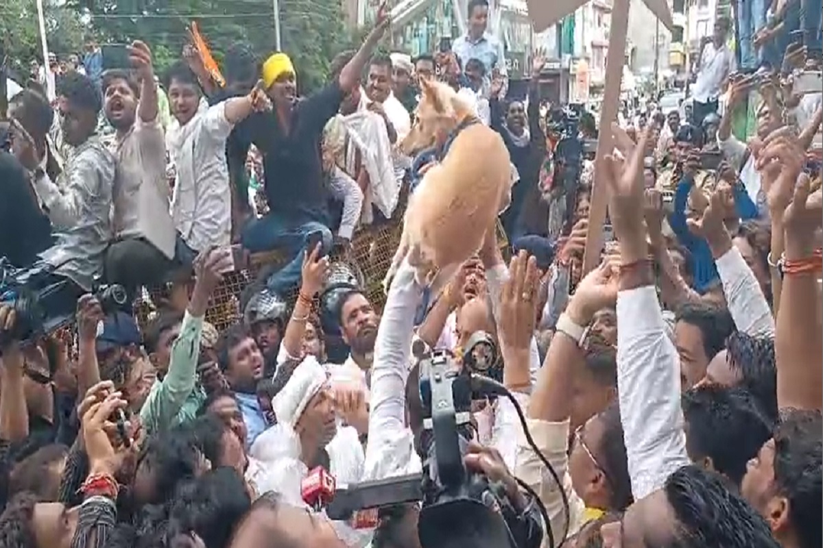 Chhindwara News: कांग्रेसियों को अनोखा प्रदर्शन, नहीं मिला कलेक्टर तो कुत्ते के गले में बांधा ज्ञापन, अब वायरल हुआ वीडियो