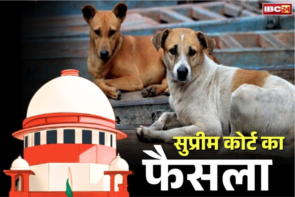 Supreme Court On Stray Dog/ Image Credit: IBC24