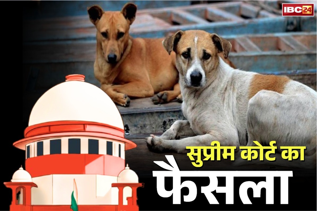 Supreme Court On Stray Dog: ‘वापस छोड़े जाएंगे पकड़े गए कुत्ते’, सुप्रीम कोर्ट ने सुनाया बड़ा फैसला
