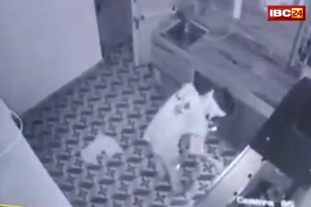 Bhagwan se Badla: भगवान से बदला लेने युवक ने निकाला नायाब तरीका, मंदिरों में करता था ऐसा काम / Image Source: IBC24