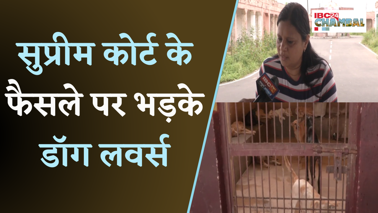 Gwalior Dog Lovers: आवारा कुत्तों पर Supreme Court का बड़ा फैसला, ग्वालियर डॉग लवर्स का फूटा गुस्सा