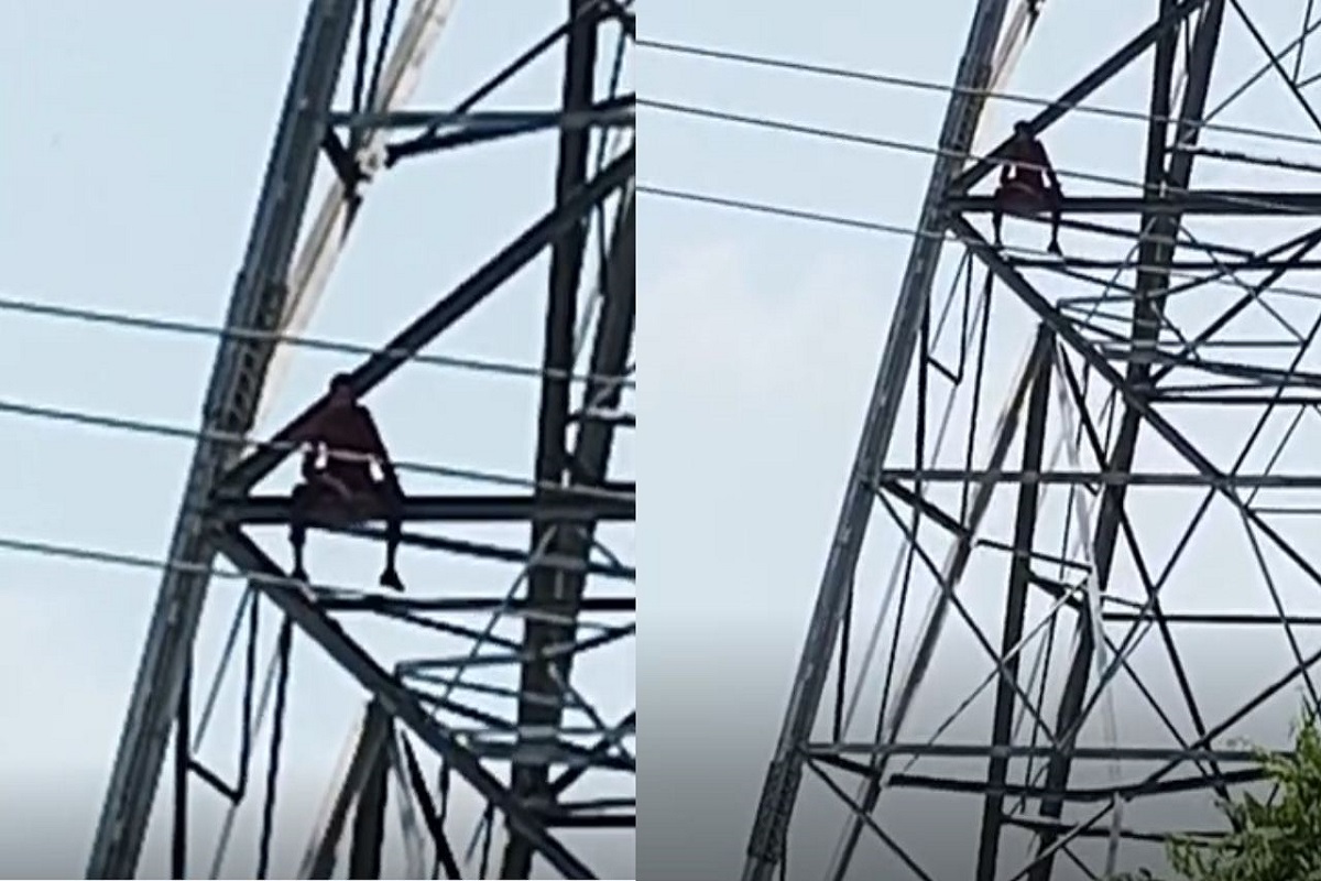 Hata News: हजारों किमी का सफर कर प्रेमिका से मिलने पहुंचा आशिक, इंकार करने पर चढ़ा हाईटेंशन टावर पर, मचा हड़कंप