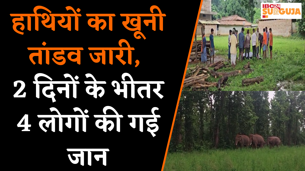 Surguja में बेखौफ हुए गजराज, दहशत के माहौल में जीने को मजबूर ग्रामीण।