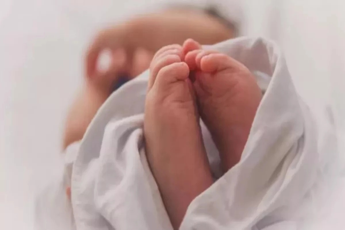 MP News: मर गई मां की ममता और पिता का प्यार! 3 दिन के नवजात को जंगल में पत्थर से दबाया, वजह जानकर हो जाएंगे हैरान