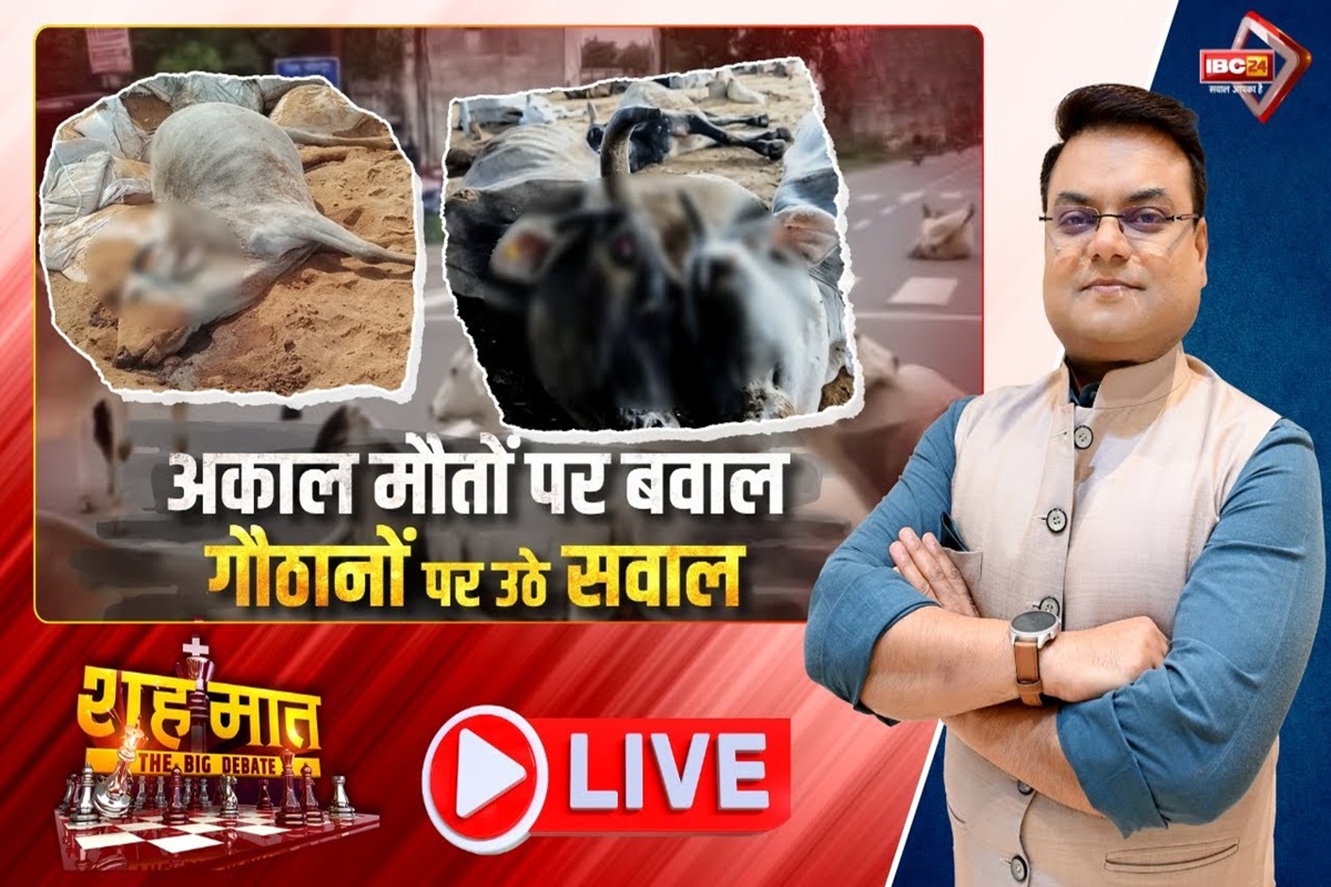 शह मात The Big Debate: अकाल मौतों पर बवाल.. गौठानों पर उठे सवाल, आखिर गायों क मौत के लिए कौन है जिम्मेदार? देखिए ये वीडियो