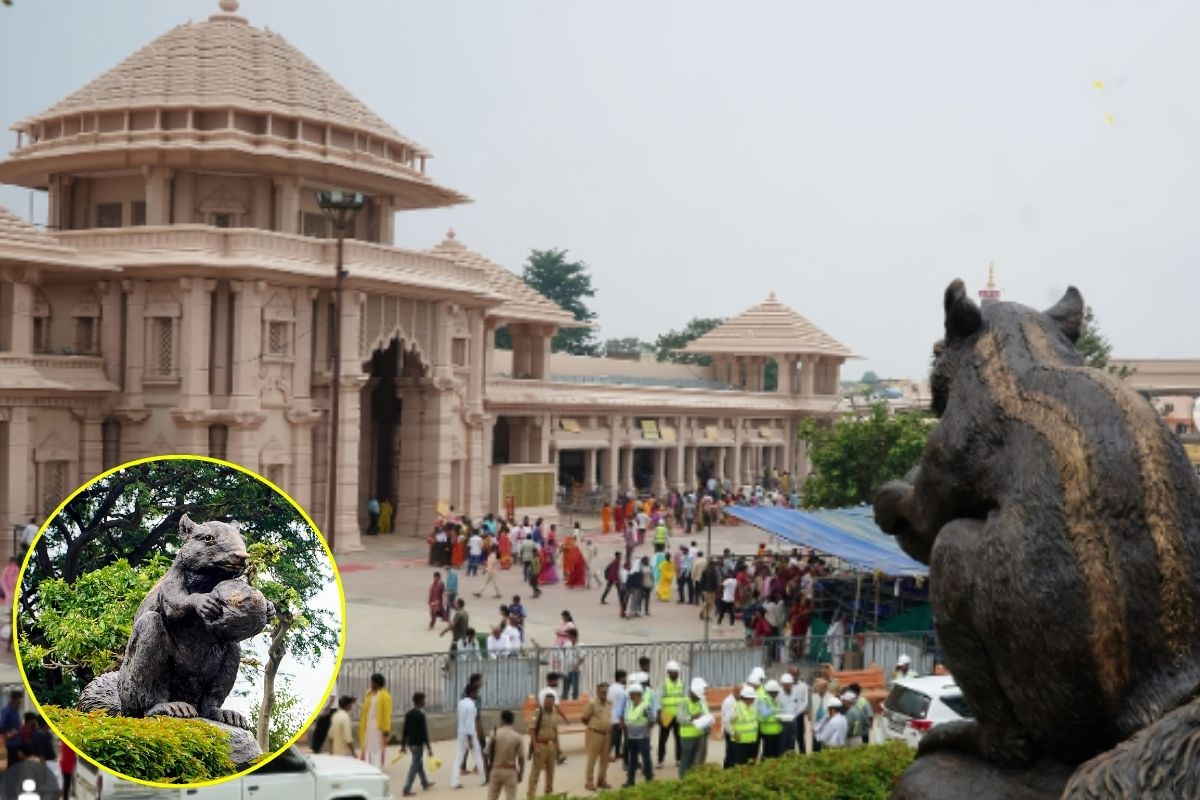 Ayodhya Ram Mandir: रामसेतु की गिलहरी को राम मंदिर में मिली खास जगह, इस टीले से निहार रही है रामलला को,  मूर्ति बनी श्रद्धा का नया केंद्र