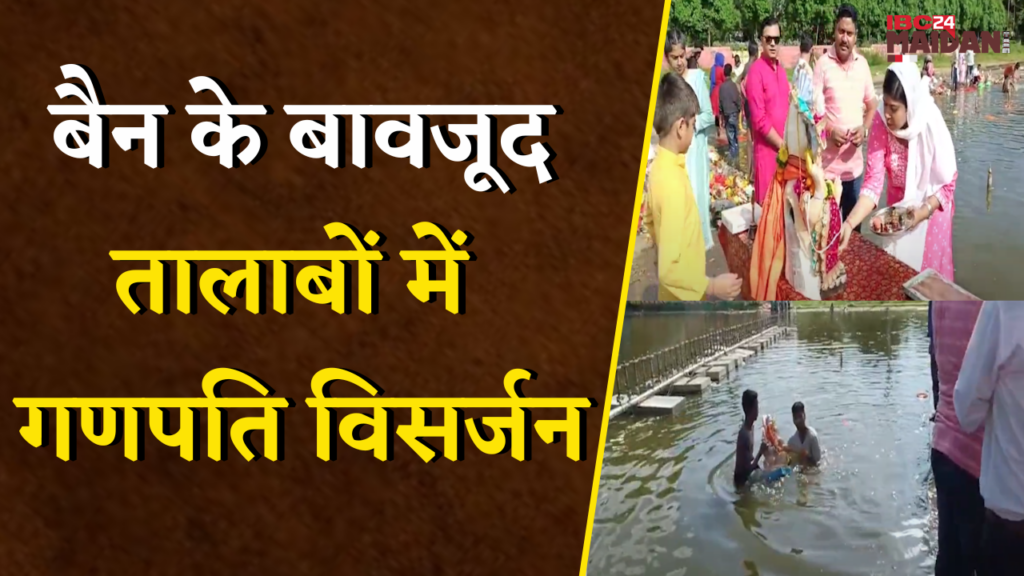 Bhilai Ganesh Visarjan