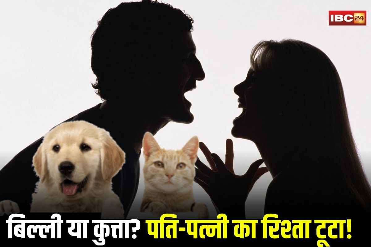 Bhopal News: कुत्ते और बिल्ली के चक्कर में तलाक तक पहुंची बात! घर में पति-पत्नी के बीच रोज कटता है बवाल, राजधानी में अनोखा केस आया सामने