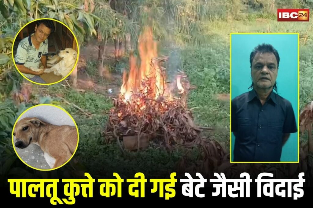 Chhatarpur News, Chhatarpur dog funeral, Pipat village news, Hindu dog cremation, Chhatarpur unique rituals, Madhya Pradesh viral news, Pet dog funeral India, Emotional dog story MP, Chhatarpur animal love, Tilakdhari dog story, Human like pet rituals, Rajnagar police station area, Chhatarpur pet cremation, Indian pet traditions, Chhatarpur cultural news, Dog ashes immersion Prayagraj