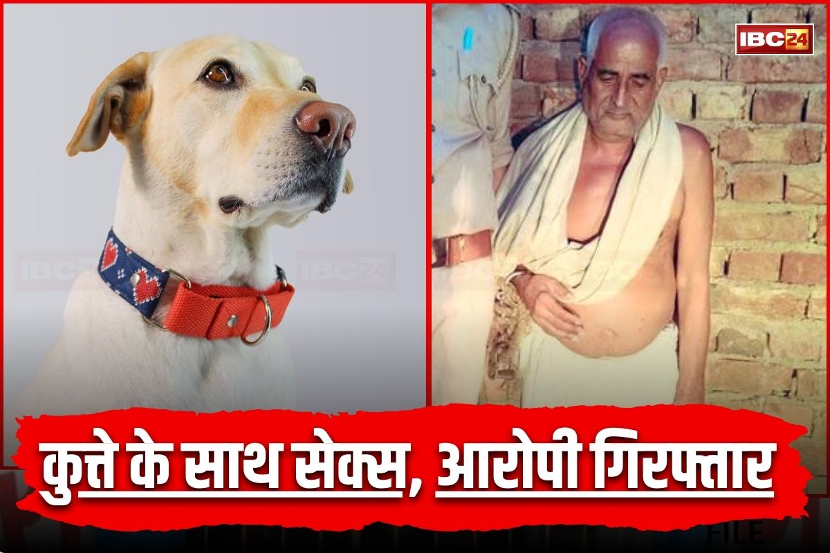 UP Crime: साधु के भेष में घिनौना कृत्य, कुत्ते के साथ खुलेआम कर रहा था सेक्स, सोशल मीडिया पर वायरल हुआ वीडियो