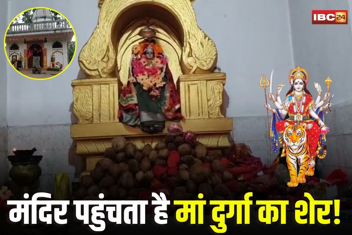 GPM Durga Mandir: नवरात्रि पर जंगल से आता है शेर, मां दुर्गा को करता है नमन, पुजारी बोले- खुद देखा है दर्शन करते, छत्तीसगढ़ के इस मंदिर में घटती है रहस्यमयी घटना