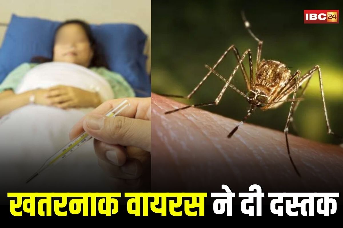 Gwalior News: सावधान! मच्छर से फैलने वाली जापानी इंसेफेलाइटिस ने दी दस्तक, 32 साल की महिला इस खतरनाक वायरस की चपेट में, स्वास्थ्य विभाग ने किया अलर्ट