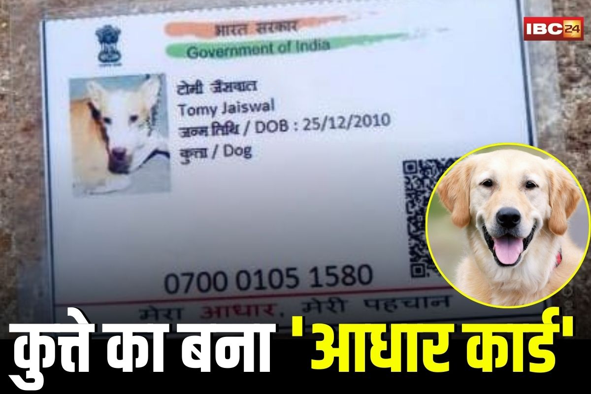 Gwalior News: OMG! बन गया कुत्ते का आधार कार्ड! लिखा है ‘मेरा आधार मेरी पहचान’, नाम टोमी… जानें क्या है सच्चाई