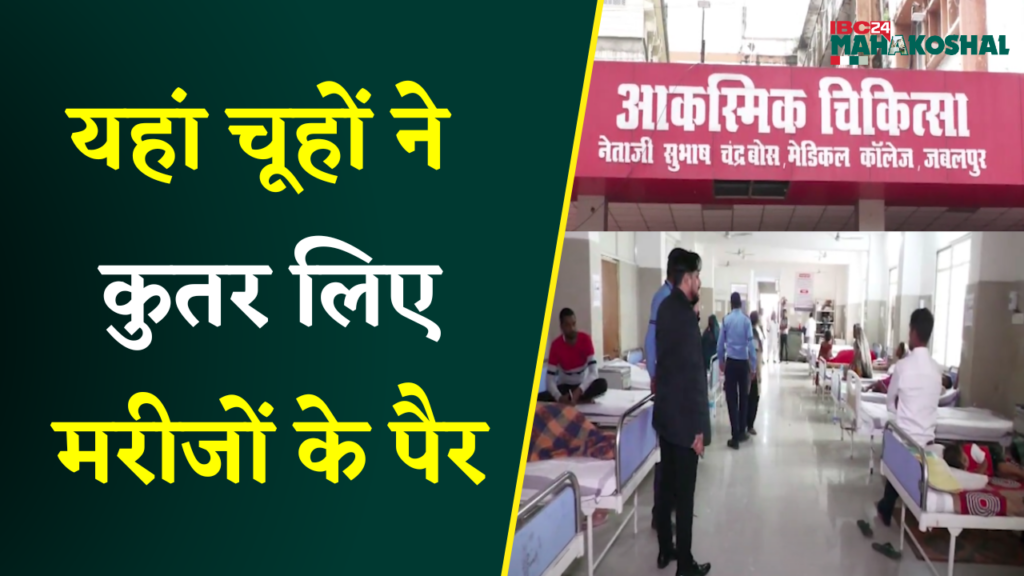 Jabalpur Medical College Hospital Rat bites case