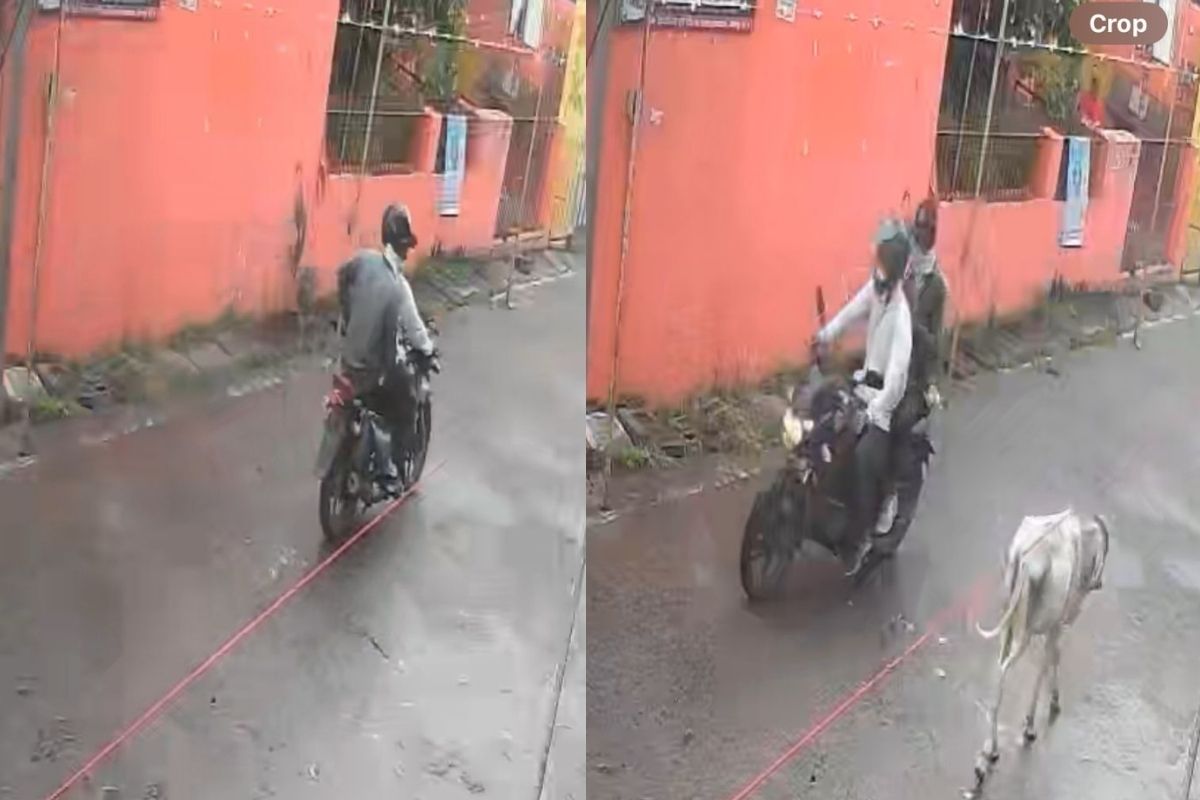 Jabalpur News: BJP नेता की मां से सरेराह लूट, नवरात्रि में देवी दर्शन के लिए जा रहीं थीं, फिर गले से सोने की चेन झपटकर भागे आरोपी, CCTV में कैद हुए बदमाश