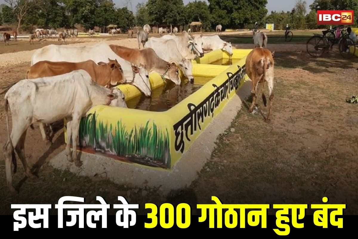 Jagdalpur News: छत्तीसगढ़ के इस जिले के 300 गोठान हुए बंद, अब 19 गोठानों को गोधाम बनाने की योजना, जानिए कैसे किया जाएगा विकसित