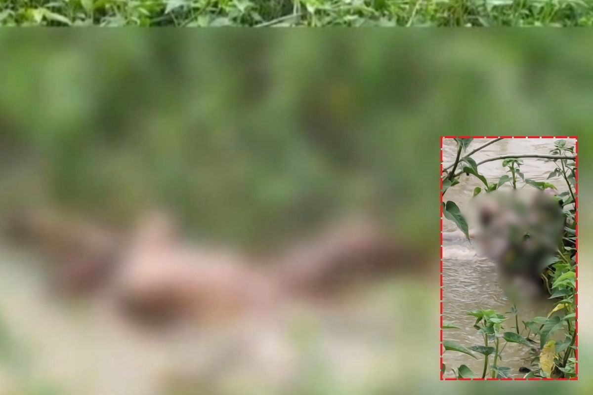 Janjgir Champa News: नहर में नग्न अवस्था में मिला महिला का शव, इलाके में फैली सनसनी, अब पोस्टमॉर्टम से खुलेगा राज