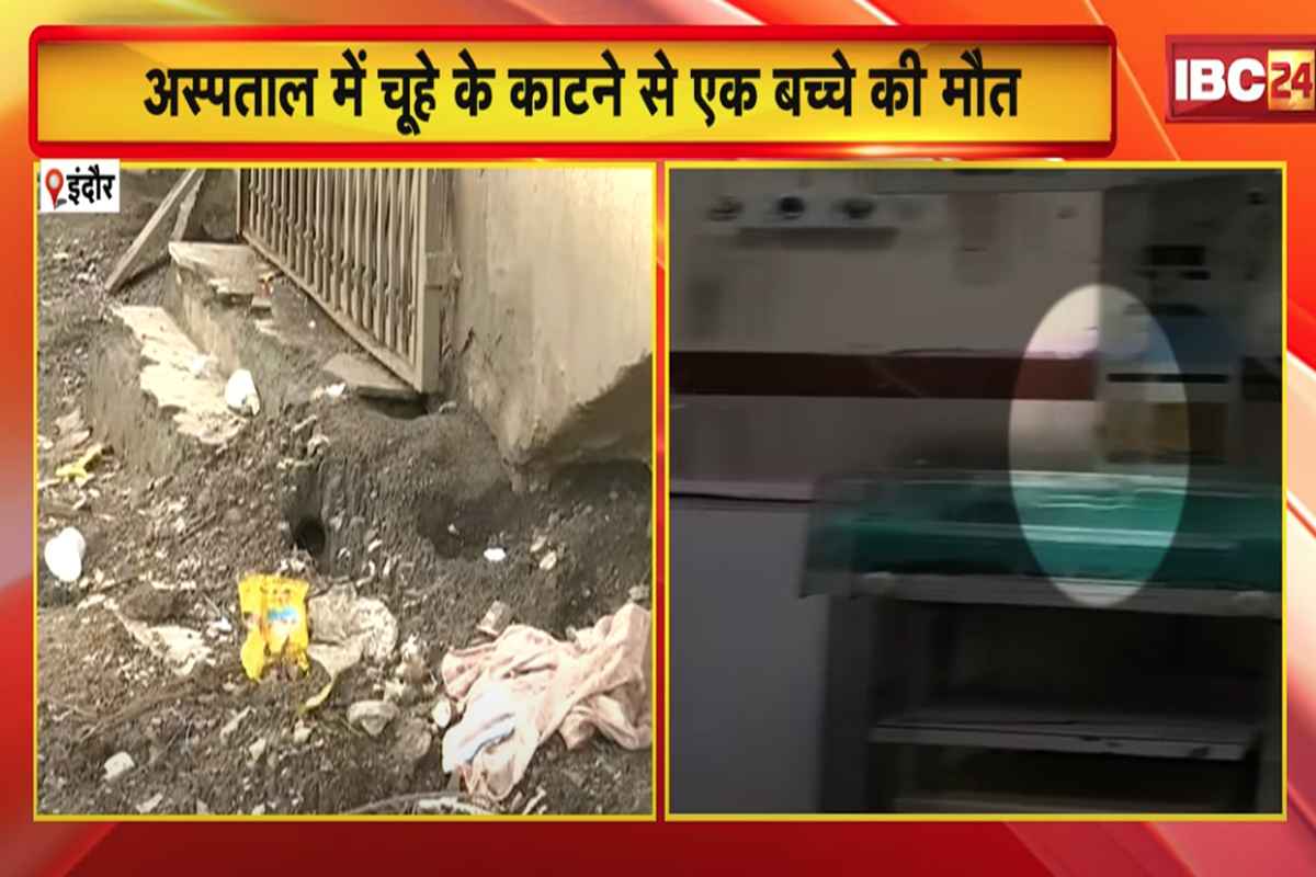 MY Hospital Indore: एमवाय अस्पताल में चूहे के काटने से एक बच्चे की मौत! प्रबंधन पर सरकार ने की सख्त कार्रवाई, अब सामने आया चश्मदीद का चौकानें वाला बयान