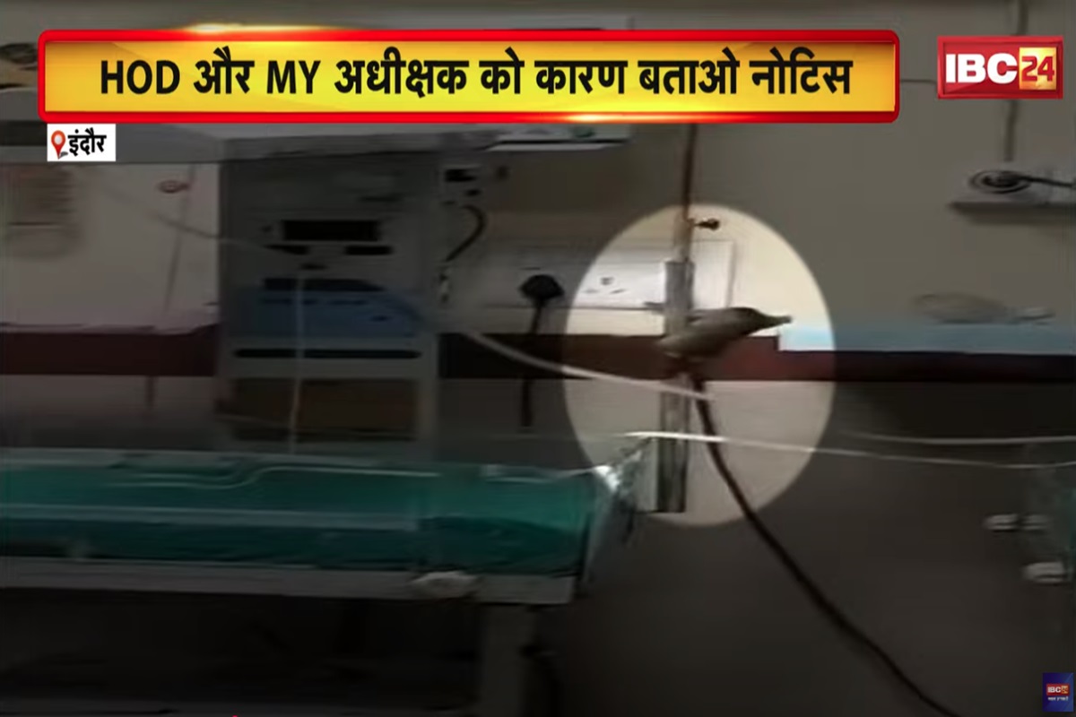 MP News: प्रदेश के इस सरकारी अस्पताल में बड़ी लापरवाही, ICU में चूहे के काटने से बच्चे की मौत, प्रशासन ने अब लिया ये बड़ा एक्शन