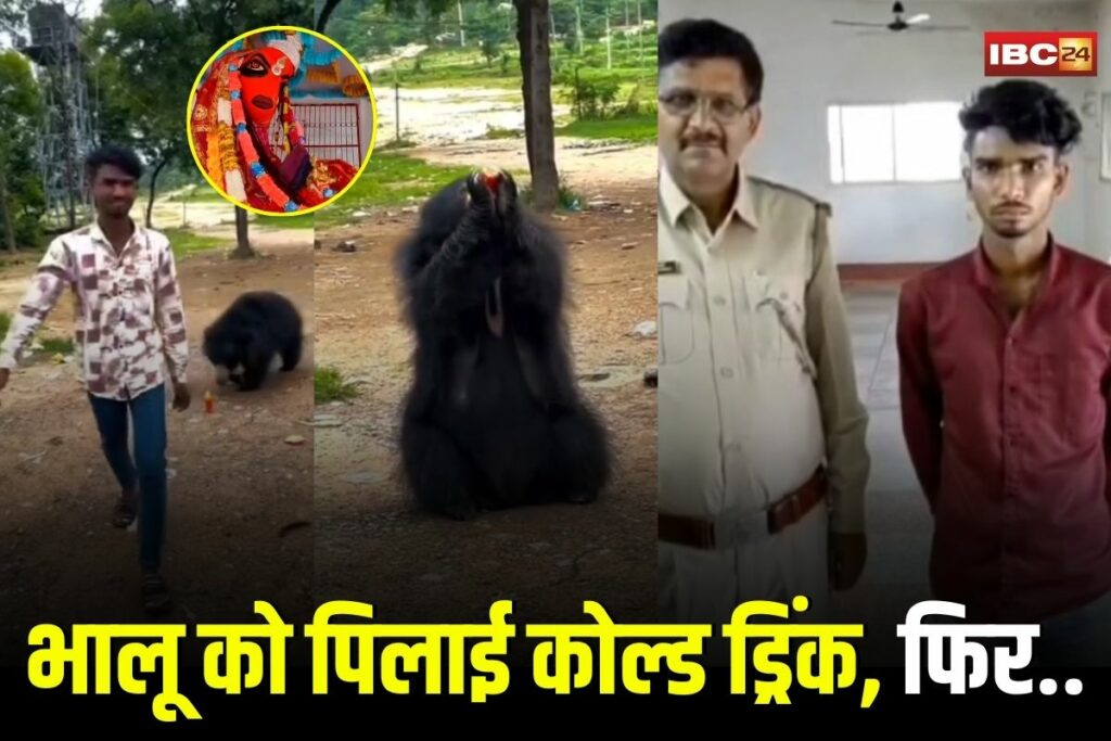 Mahasamund News,Mahasamund bear cold drink video, Bagbahara forest case, bear feeding viral video, wildlife protection act India, Karan Dhuri arrest, Bilaspur wildlife news, Bagbahara viral video case, bear cold drink crime, feeding wild animals India, Forest Act section 9 51 52, Wildlife crime Chhattisgarh, Mahasamund forest department, Bagbahara temple bear case, Takhatur village news, Chhattisgarh animal cruelty case
