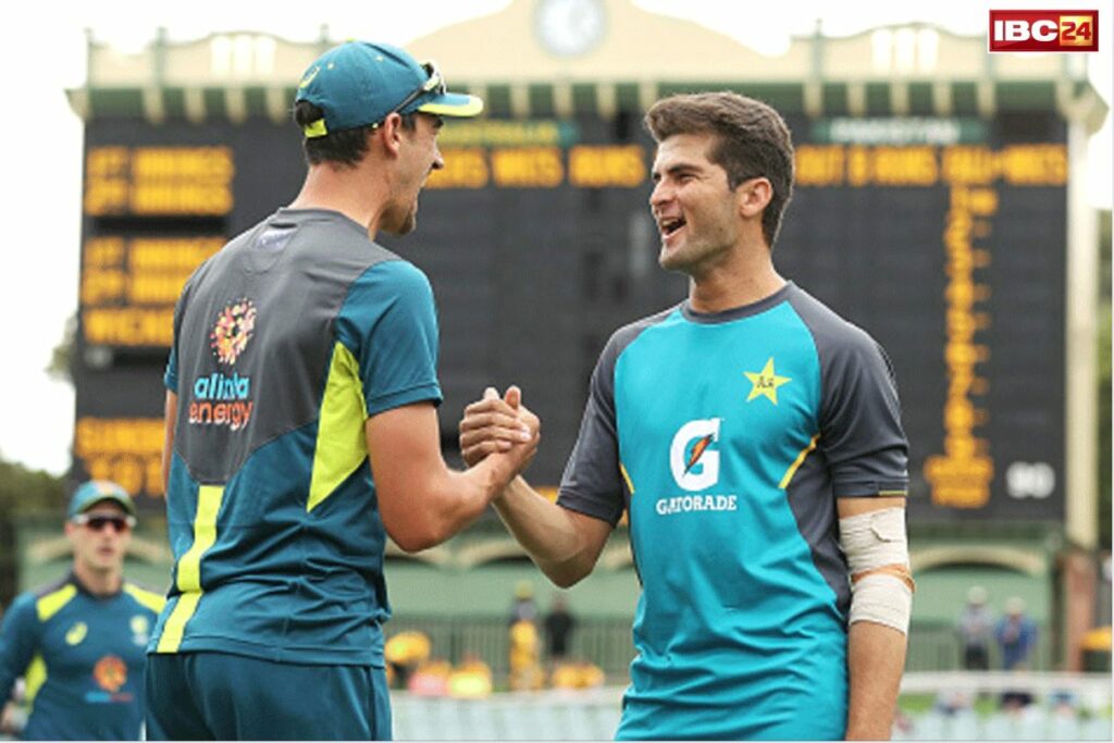 Mitchell Starc t20 Retirement