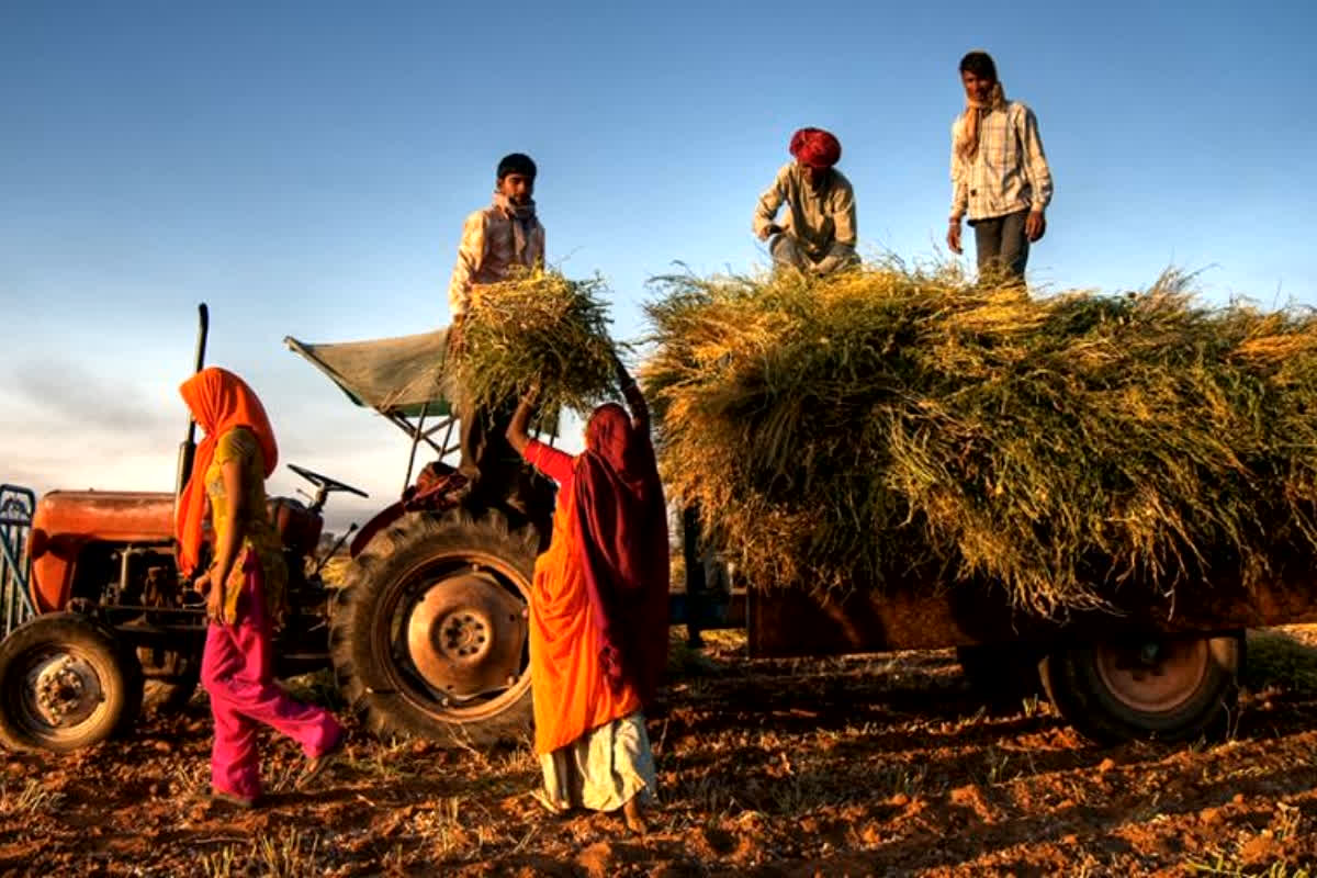 Good News for Farmers: इस बार 5328 रुपए प्रति क्विंटल की दर से होगी खरीदी, खुद सीएम ने किया ऐलान, नवरात्रि में किसानों को मिली बड़ी सौगात