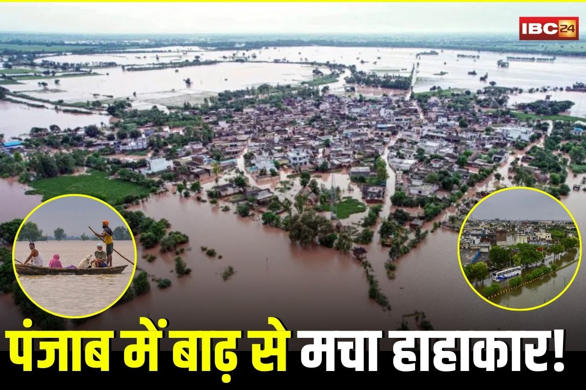 Punjab Floods Update: पंजाब में बाढ़ से मचा हाहाकार! अब तक 46 लोगों की मौत, 2 हजार गांव पानी-पानी, 3.87 लाख से अधिक लोग प्रभावित