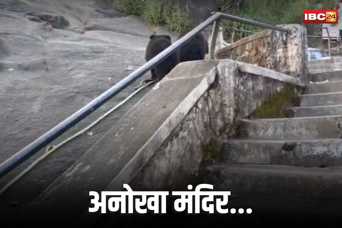 Jodhpur News: जहां आरती के बाद भालू, मंदिर परिसर में आकर खाते हैं प्रसाद, जानें इस रहस्यमयी मंदिर के बारे में…