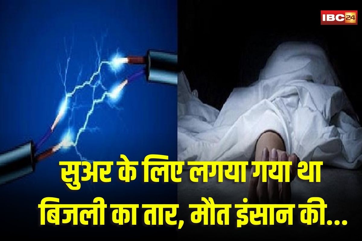 Janjgir News: जंगली सुअर का शिकार करने के लिए बिछाया गया था करंट, सुअर के बदले चपेट में आ गया युवक, हुई मौत