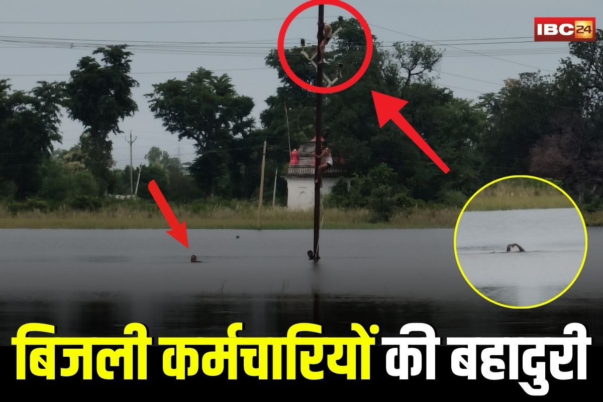 Satna Viral Video: जोखिम भरे हालात में बिजली कर्मचारियों की बहादुरी! 10 फीट पानी में उतरकर बदले इंसुलेटर, घंटों बंद बिजली सप्लाई किया बहाल, वीडियो हुआ वायरल