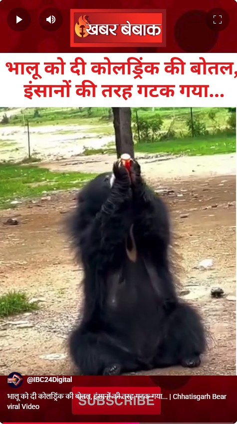 भालू को दी कोलड्रिंक की बोतल, इंसानों की तरह गटक गया… | Chhatisgarh Bear viral Video