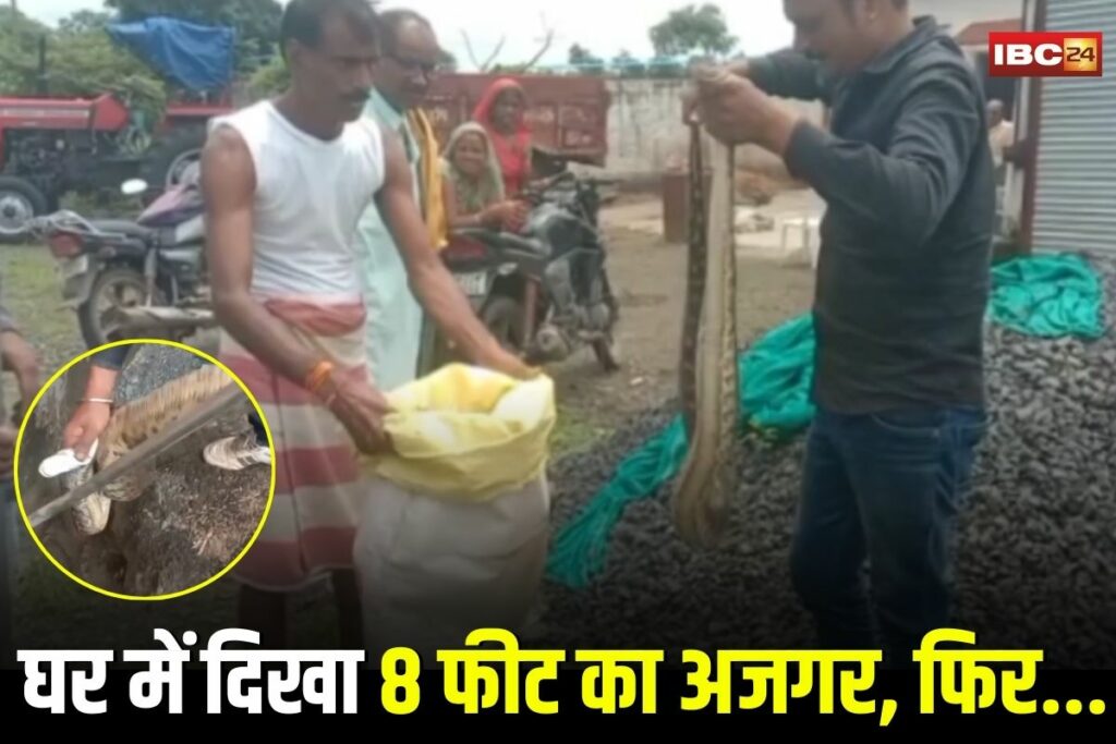 Seoni News, Seoni snake rescue, Seoni python sighting, Seoni wildlife news, Seoni snake handler, Seoni python removal, Seoni local news, Seoni snake safety, Seoni wildlife rescue, Seoni python in house, Seoni reptile news, Seoni forest department, Seoni python safe release, Seoni animal rescue, Seoni emergency snake help, Seoni nature news