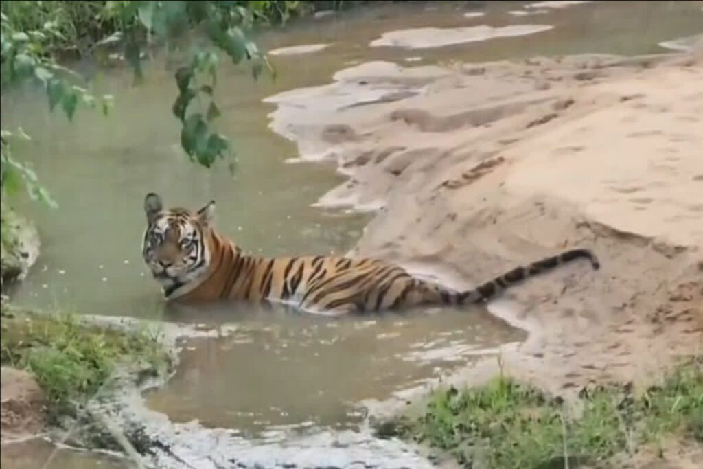 Sidhi News, sidhi news, sidhi news mp, mp sidhi news, sidhi newse, sidhi news live, sidhi news 2019, sidhi mp news, sidhi news today, sidhi hindi news, sidhi news hindi, sidhi news aaj ka, sidhi big news, sidhi news latest, sidhi live news, sidhi news in hindi, sidhi in hindi news, sidhi breaking news, sidhi crime news, sidhi today news, sidhi ibc24 news, sidhi news live today, sidhi latest news, sidhi tribal news, sidhi mp news today, sidhi accident news, sidhi district news, sidhi gang rape news, sidhi rape case news