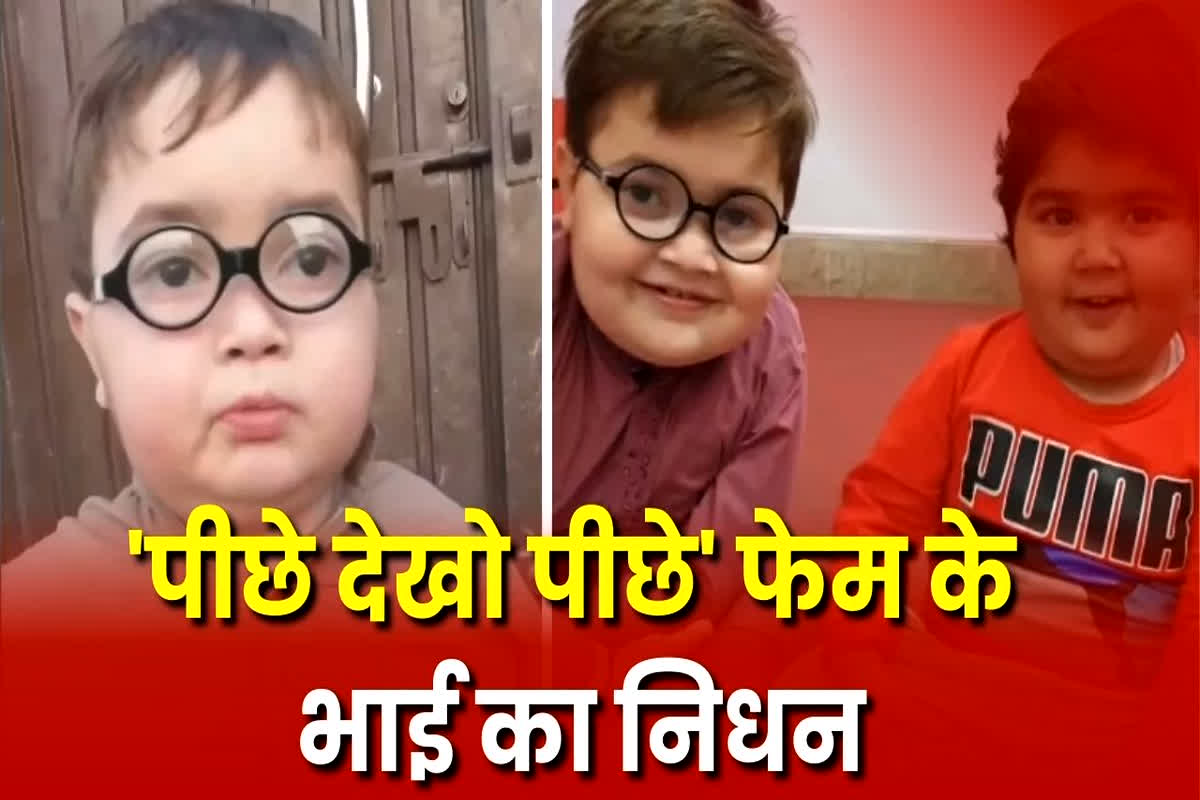 Umer Shah Dies: ‘पीछे देखो पीछे’ मीम से वायरल हुए इस मशहूर चाइल्ड आर्टिस्ट का निधन, महज 15 साल की उम्र में दुनिया को कहा अलविदा