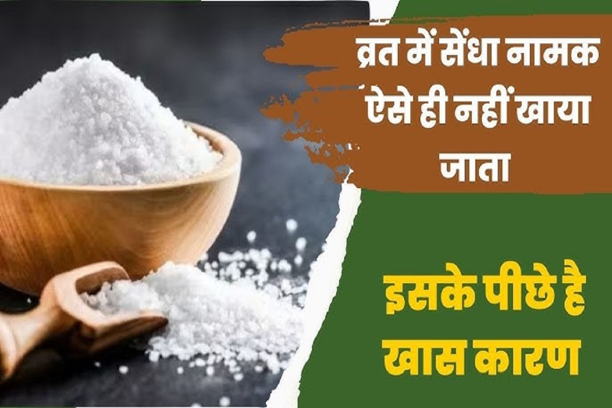 Navratri Fasting Rules: नवरात्री व्रत के दौरान सेंधा नमक ही क्यों खाया जाता है? जान लें कारण और महत्व, जो व्रत को बनाते हैं और भी ख़ास!
