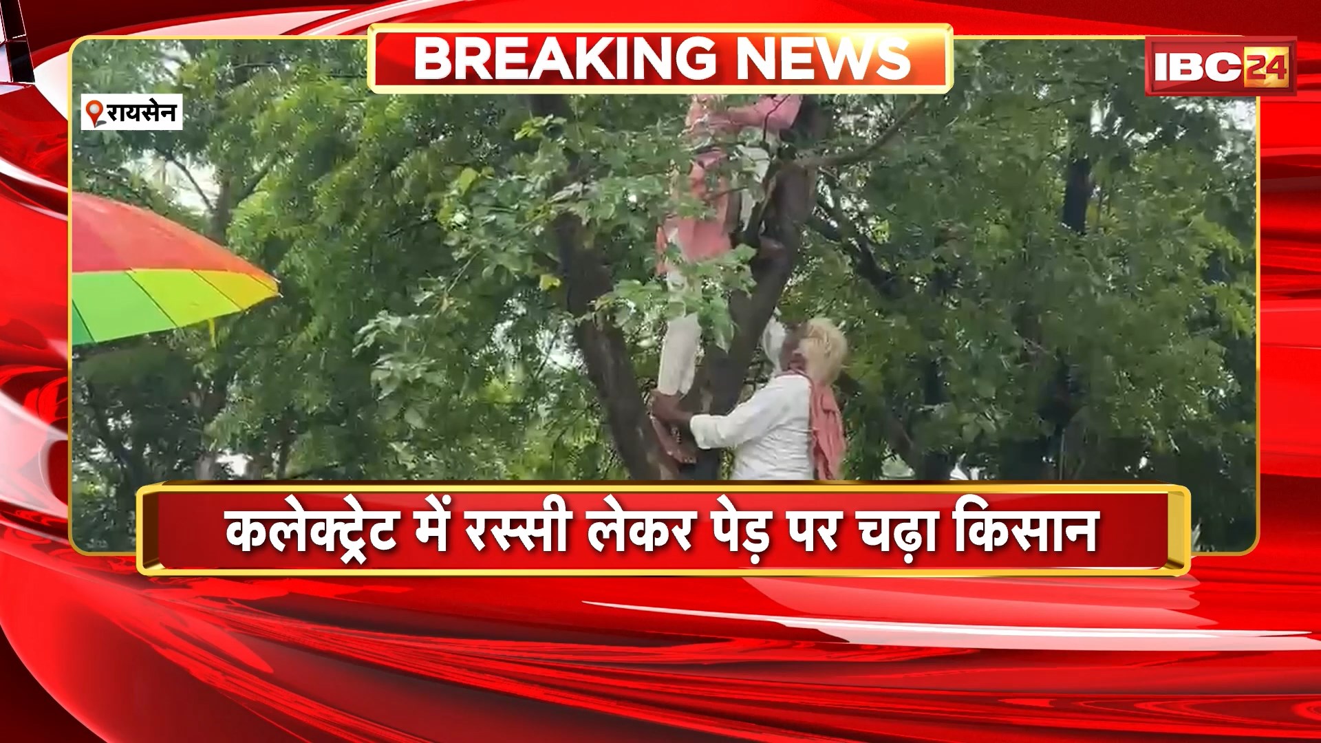 Raisen कलेक्ट्रेट में रस्सी लेकर पड़े पर चढ़ा किसान। पीड़ित किसान आत्महत्या करने पेड़ पर चढ़ा। देखिए क्या है पूरा मामला