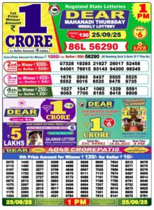 lottery result nagaland