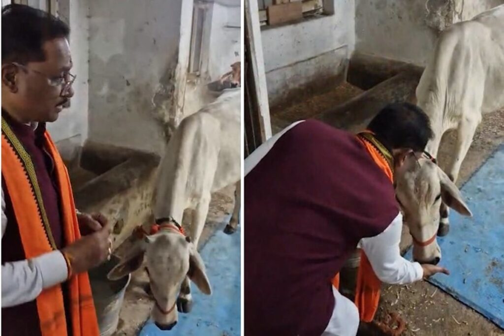 Raipur News, image source: dprcg