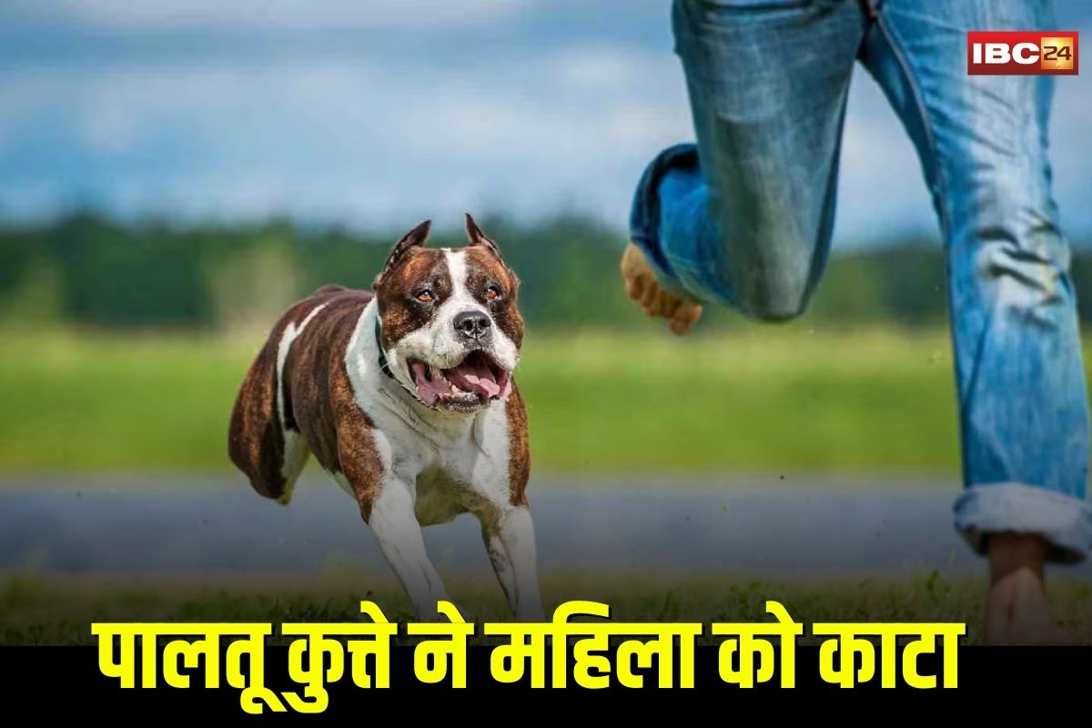 Indore News: इंदौर के कनाडिया क्षेत्र में पालतू कुत्ते का कहर, फोन में बात कर रही महिला को काटा