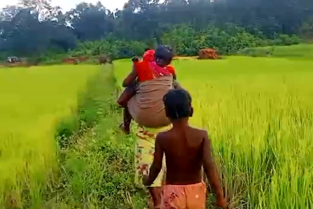 Jashpur News/Image Credit: IBC24