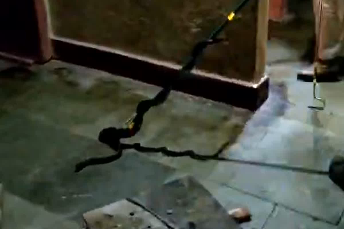 Mandla News: गर्ल्स हॉस्टल में निकला 7 फीट लंबा कोबरा, छात्राओं में मचा हड़कंप, देखें वीडियो