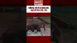 Chhattisgarh: गांव में आ धमका हाथी, स्कूल की दिवार तोड़ी…फिर | CG Elephant Attack
