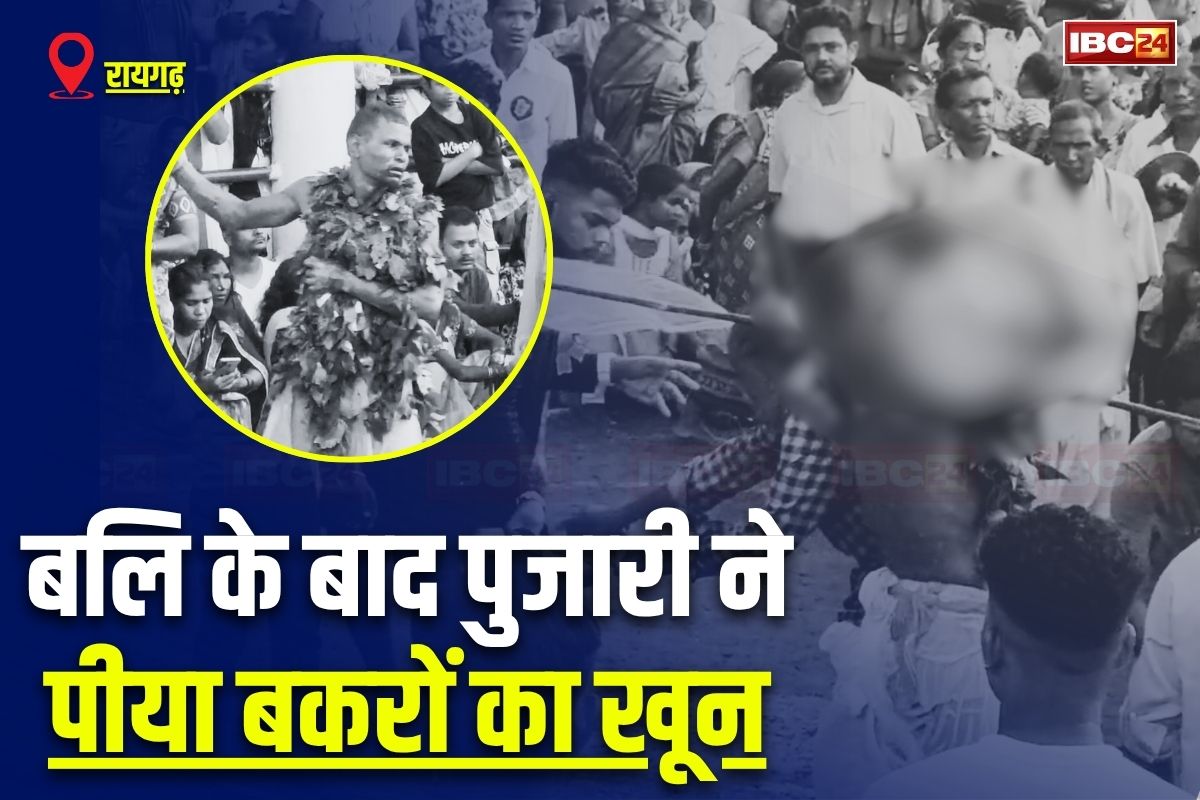 Raigarh News: पहले देता है 40 बकरों की बलि, फिर खुद खून पी जाता है बैगा, छत्तीसगढ़ के इस मंदिर में 500 सालों से चली आ रही अनूठी परंपरा