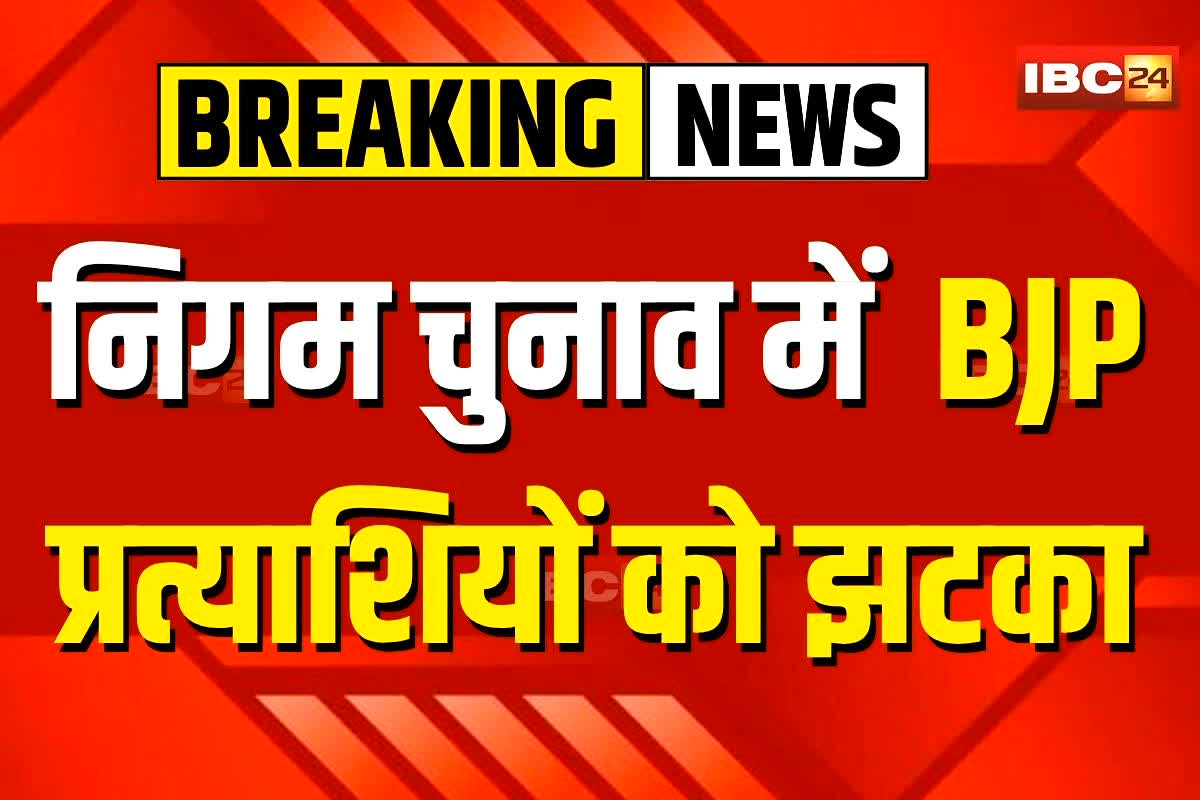 Bhilai News: छत्तीसगढ़ में इन BJP प्रत्याशियों को झटका, दोबारा मतगणना की याचिका खारिज, निगम चुनाव पर कोर्ट का फैसला