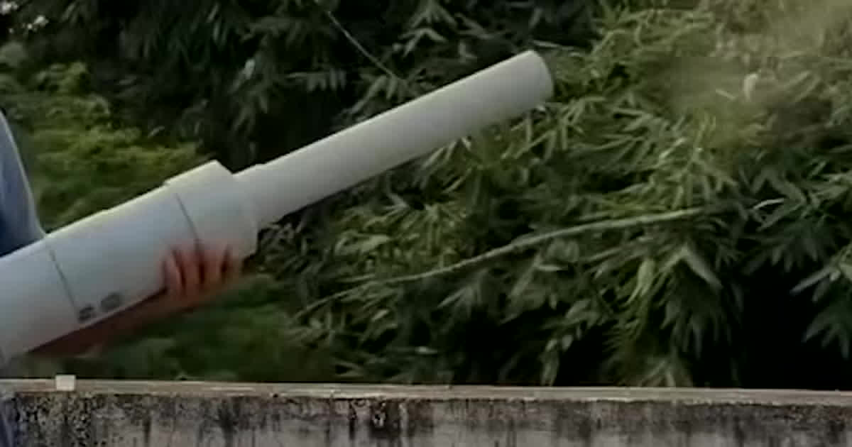 Bhopal News: खबर का बड़ा असर…भोपाल में मासूमों की आंखों की रोशनी छीनने वाला खौफनाक ‘कार्बाइड गन’ का पर्दाफाश, ADM ने जारी किया सख्त कड़ा आदेश…